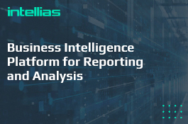 Business Intelligence Platform for Reporting and Analysis